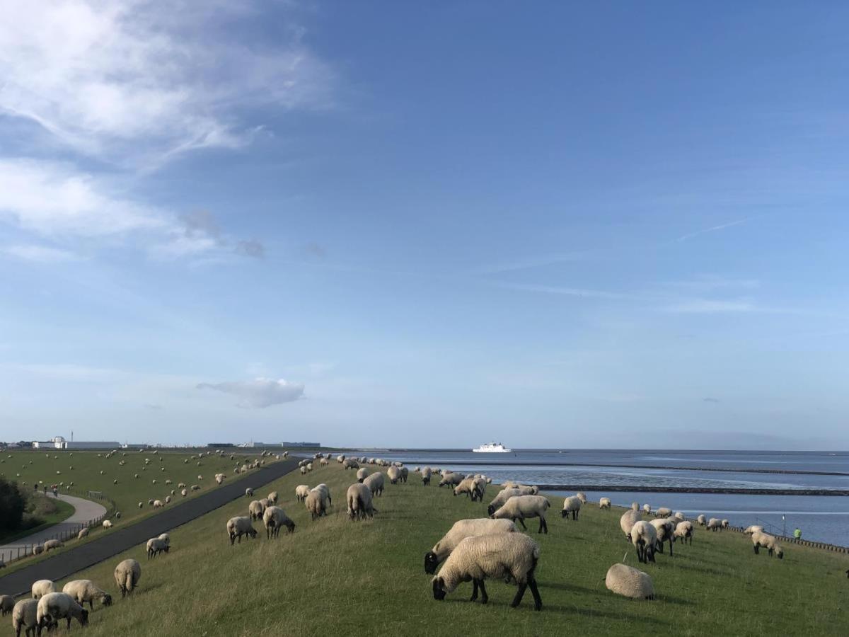 Wind Und Meer - Traumhaft An Der Nordsee 노르다히 외부 사진